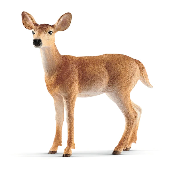 BG14819 Whitetail Doe