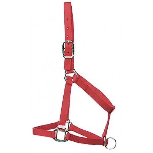 TK292971 Halter Breaking Nylon 6 Ring Yearling