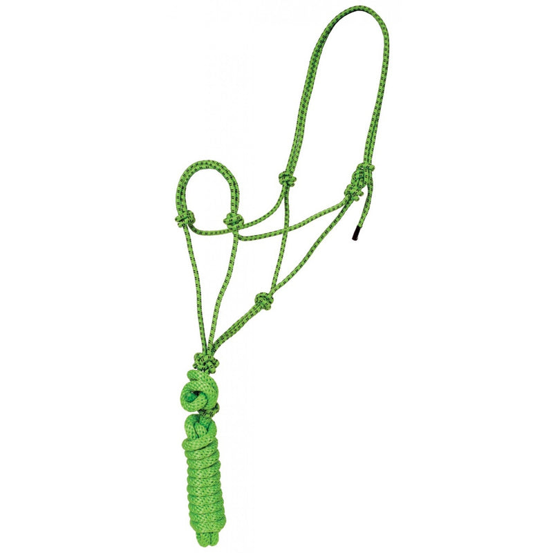 TK292984--Lm/Blk Halter Mountain Rope & Lead Mustang