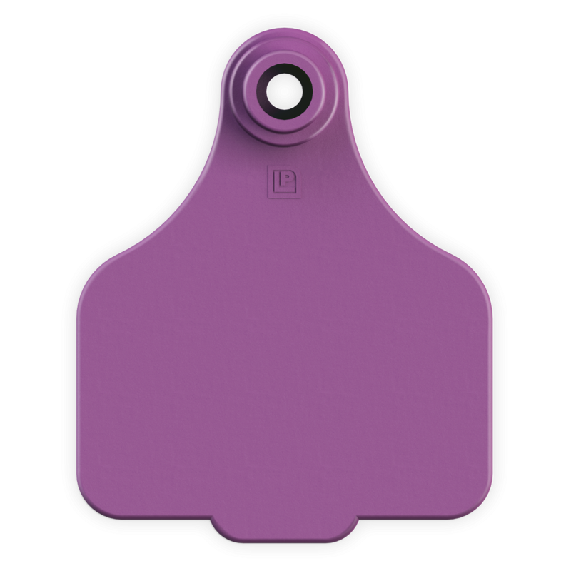 ACLARGE--Purple LEADER 2 Piece LARGE Tag 25's w/buttons