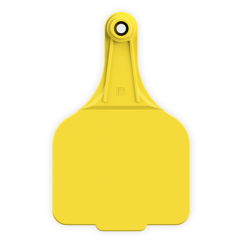 ACSUPERMAXI--Yellow LEADER 2 SUPER MAXI Tags 25's w/ Buttons