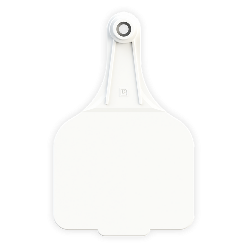 ACSUPERMAXI--White LEADER 2 SUPER MAXI Tags 25's w/ Buttons