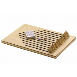 BGCH4200 Horse Race Game