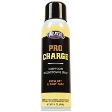AC69-2201 ProCharge Reconditioning Spray 16 oz