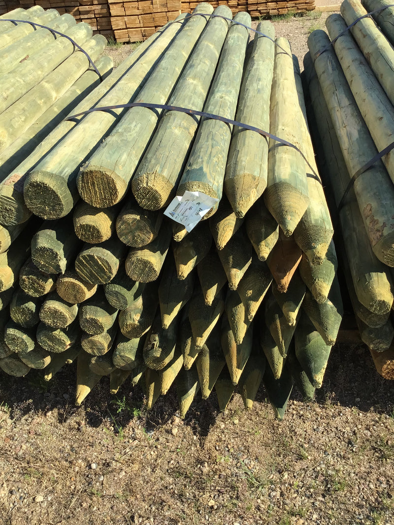 FE458 Spray Lake Posts 4-5"x 8' Sharp Treated