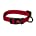 PS9642 Dog Collar Hamilton Nylon 3/8" x 12"