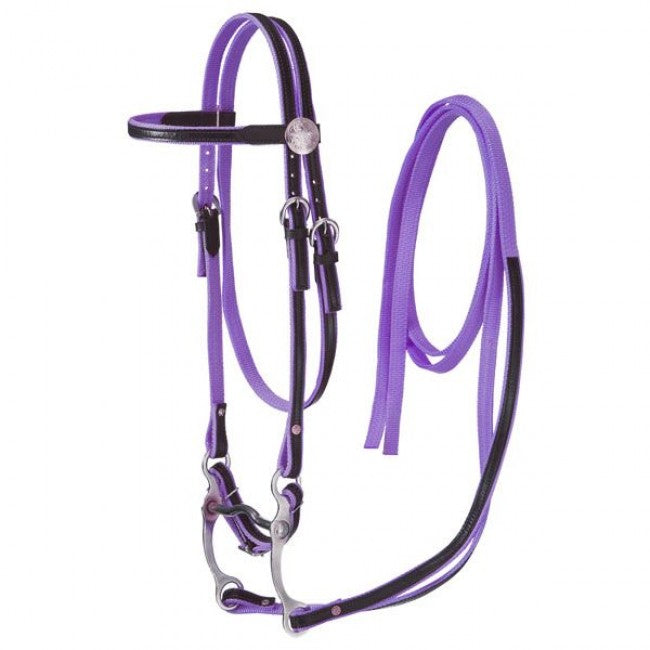 TK42-7499-7 Bridle Set Nylon w/Leather
