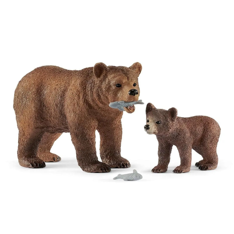BG42473 Wild Life-Grizzly Bear Mother and Baby Cub