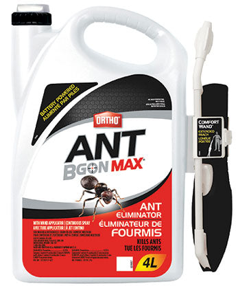 HG4269262 Ortho Ant BGon Max 4L