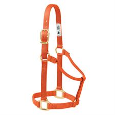 TK35-7004-Small-Orange Halter Original Non-Adjustable