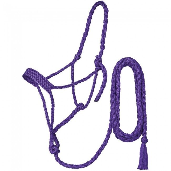TK16-605--Purple Halter Mule Tape Rope w/Lead