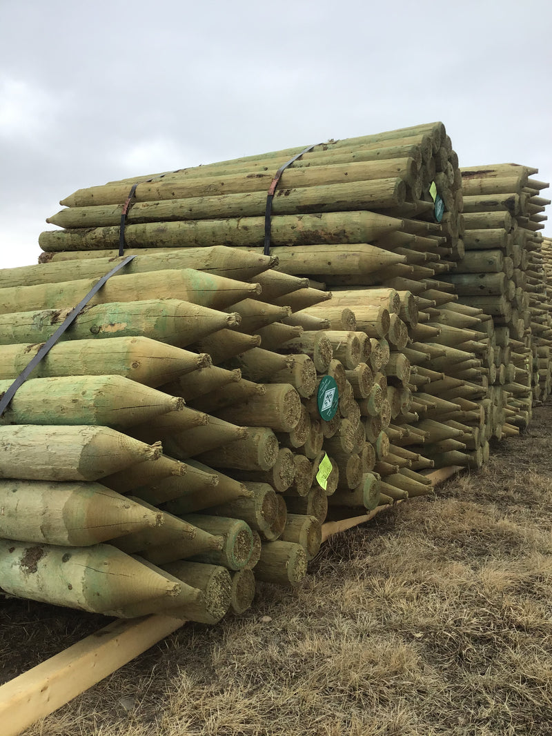 FE457 Spray Lake Posts 4-5"x 7' Treated 75/bundle