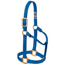 TK35-1002--Blue Halter, Non adjustable Weanling 3/4"
