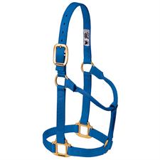 TK35-7003-Yearling-Blue Halter, Non adjustable 1"