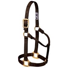TK35-7005-Average-Brown Halter Non adjustable 1"