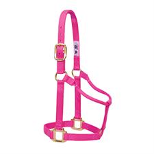 TK35-7004-Small-Fushia Halter Non adjustable 1"