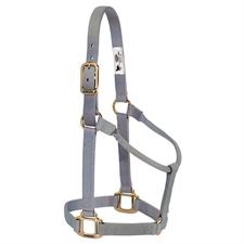 TK35-7005-Average-Grey Halter Non adjustable 1"