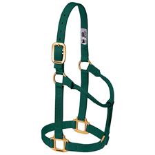 TK35-7005-Average-DGreen Halter Non adjustable 1"