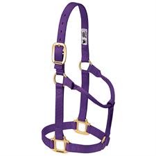 TK35-7004-Small-Purple Halter Non adjustable 1"