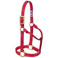 TK35-7005-Average-Red Halter Non adjustable 1"