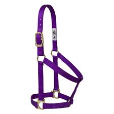 TK35-7405-Average-Purple Halter Basic Non Adjustable 1" Nylon