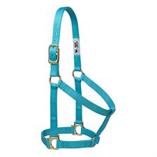 TK35-7405-Average-Turquois Halter Basic Non Adjustable 1" Nylon
