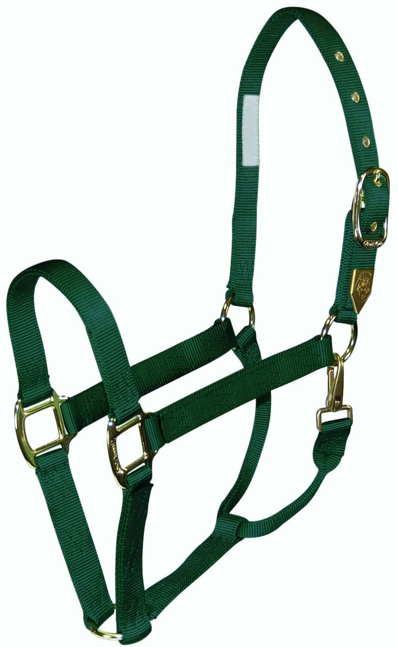 TKLH50-915--Green Halter Nylon Premium Large Horse