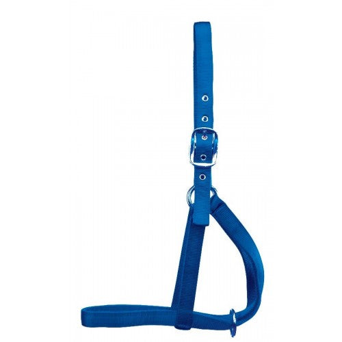AC722887 Halter Barn Cow Size