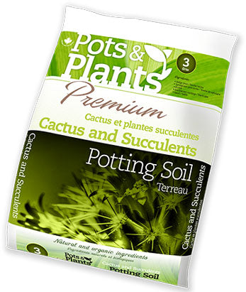 HG759522 Potting Soil Cactus & Succlent 3l