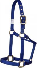 TK85362--Blue Halter- Eyelet 800-1100lbs
