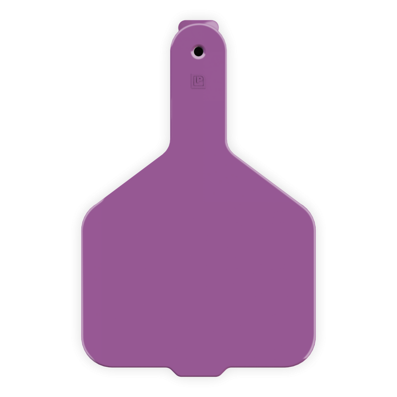 ACCOW1-Wide Nk-Purple LEADER 1 Piece Cow Tag 25's
