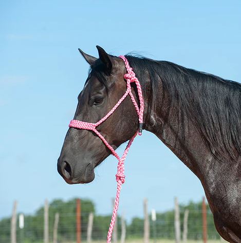 TKCAS/HTR--Pink Halter Rope w/Lead & Braided Mule Tape