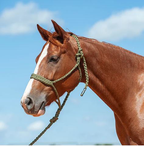 TKCAS/HTR--Green Halter Rope w/Lead & Braided Mule Tape