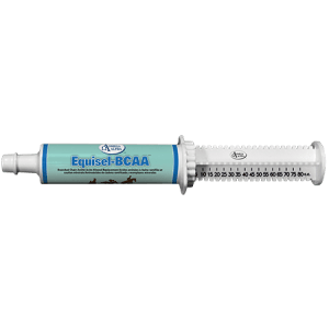 AC255401 Omega Alpha Equisel-BCAA Paste 80cc Tube