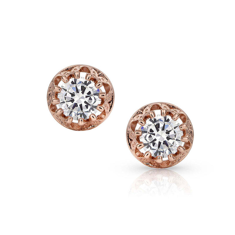 BGER3561RG Earrings Montana Rose Gold Horseshoe CZ