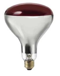 HG621130 Heat Lamp Bulb Red R40 250 watts