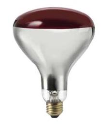HG575-013 Heat Lamp Bulb *RED 2 PACK* 250 watt