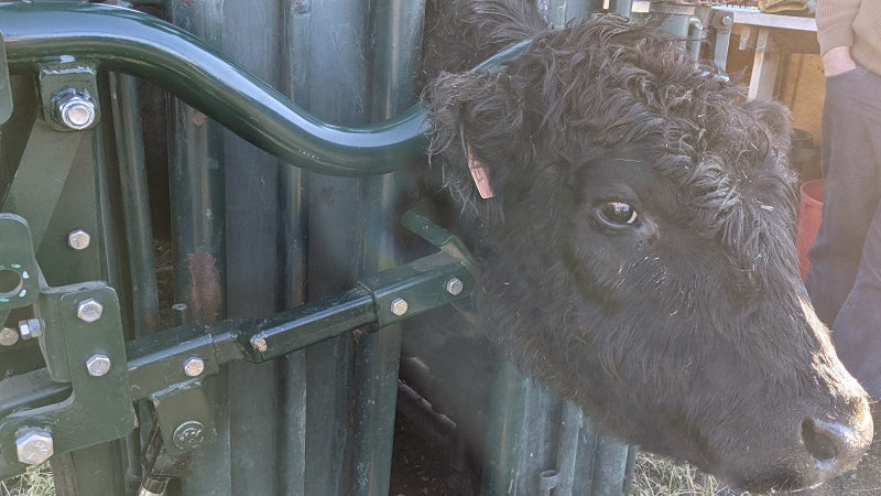 LE1550/1536 Squeeze - Parallel Axis W/ Head Control