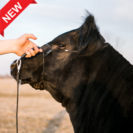 ACPHAN2-Large-Black Halter Phantom w/ Ghost Grip