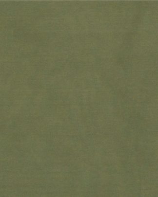 CLSCRFSOLID--Sage Scarf 100% Silk Solid