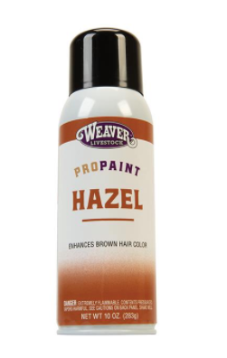AC69-2110 ProPaint Hazel 10 oz