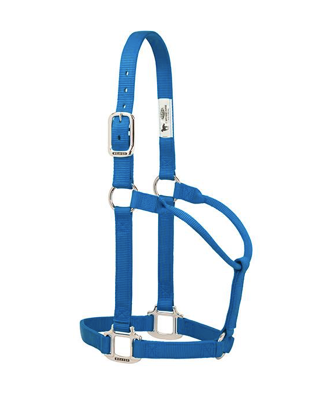 TK35-7385-Average-Blue Halter, Non adjustable Average