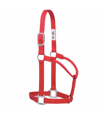 TK35-7385-Average-Red Halter, Non adjustable Average