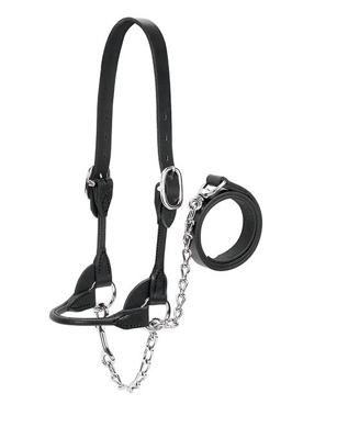 AC80400-50-00 Halter Rounded Show-Blk- Md (950-1500)