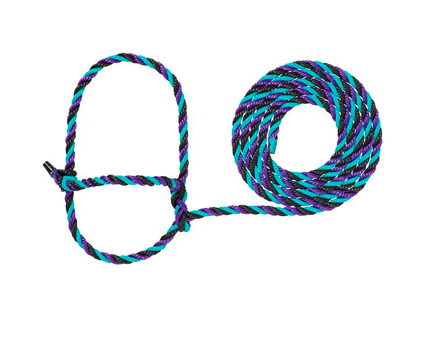 AC35-7900--H36 Halter Rope Cattle - Purple/Black/Teal