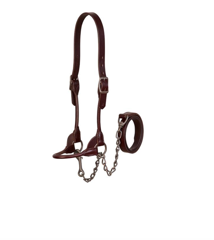 AC80402-50 Leather Cattle Halter Bombshell - Med