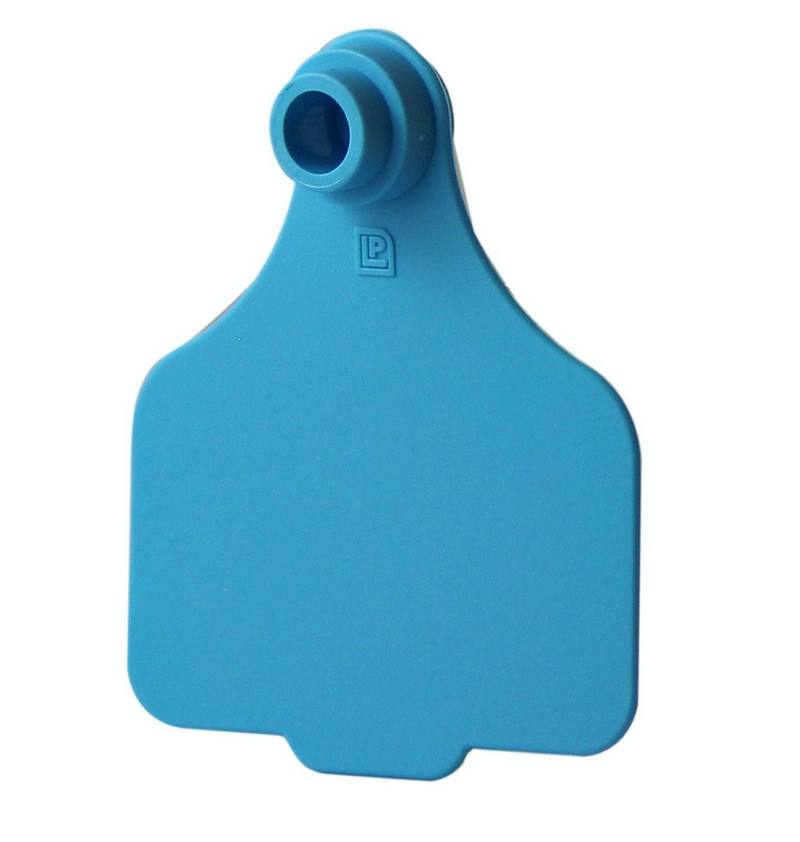 ACLARGE--Blue LEADER 2 Piece CALF Tag 25's W/ BUTTONS