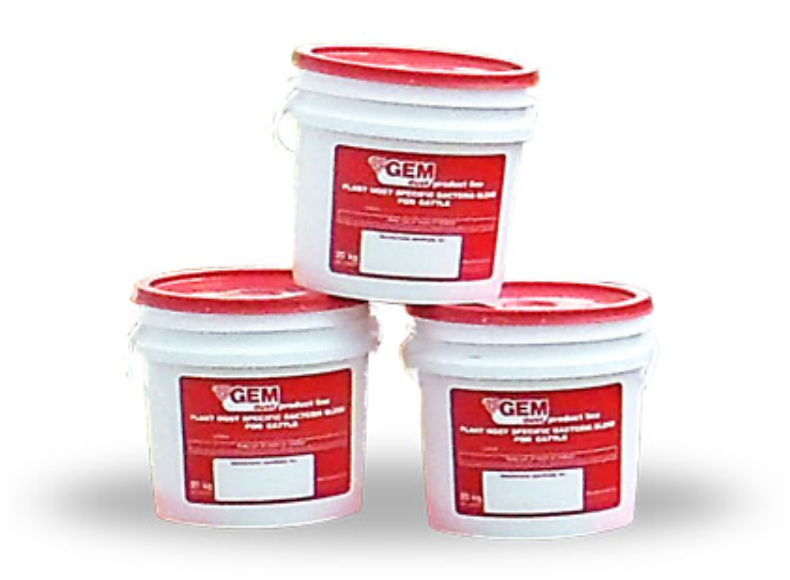 TWGEMDUST Innoculant-Silage/Hay Gem Dust Plus