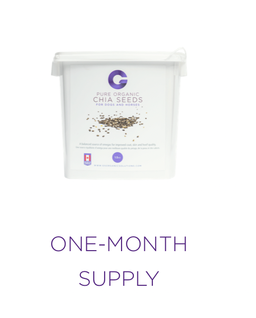 ACG-CHIA-1.5 G'S Chia Seeds 1.5 Kg Pail