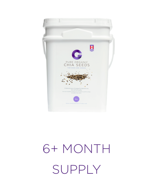 ACG-CHIA-10 G'S Chia Seeds 10 Kg Pail